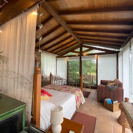 The Old Watermill Retreat - O Retiro Da Azenha Velha Apartment Vila Nova de Poiares Exterior photo