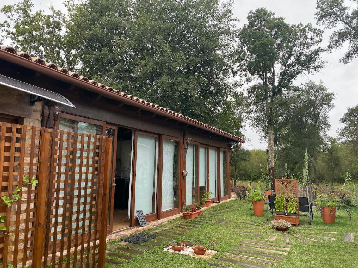 Homestay The Old Watermill Retreat - O Retiro Da Azenha Velha