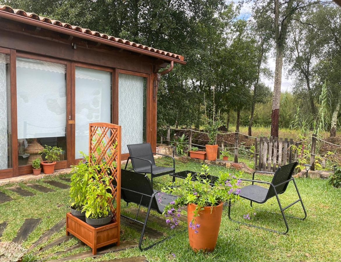 Homestay The Old Watermill Retreat - O Retiro Da Azenha Velha Vila Nova de Poiares