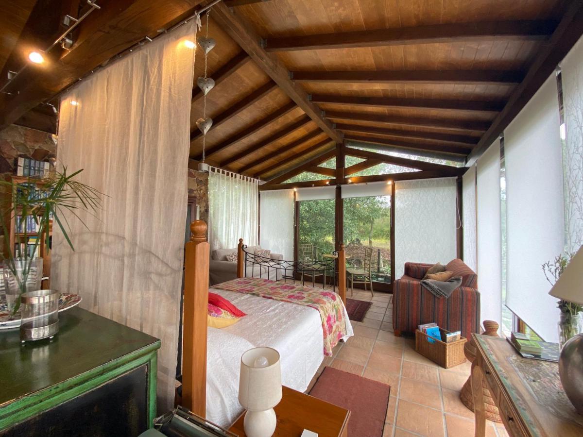 Homestay The Old Watermill Retreat - O Retiro Da Azenha Velha