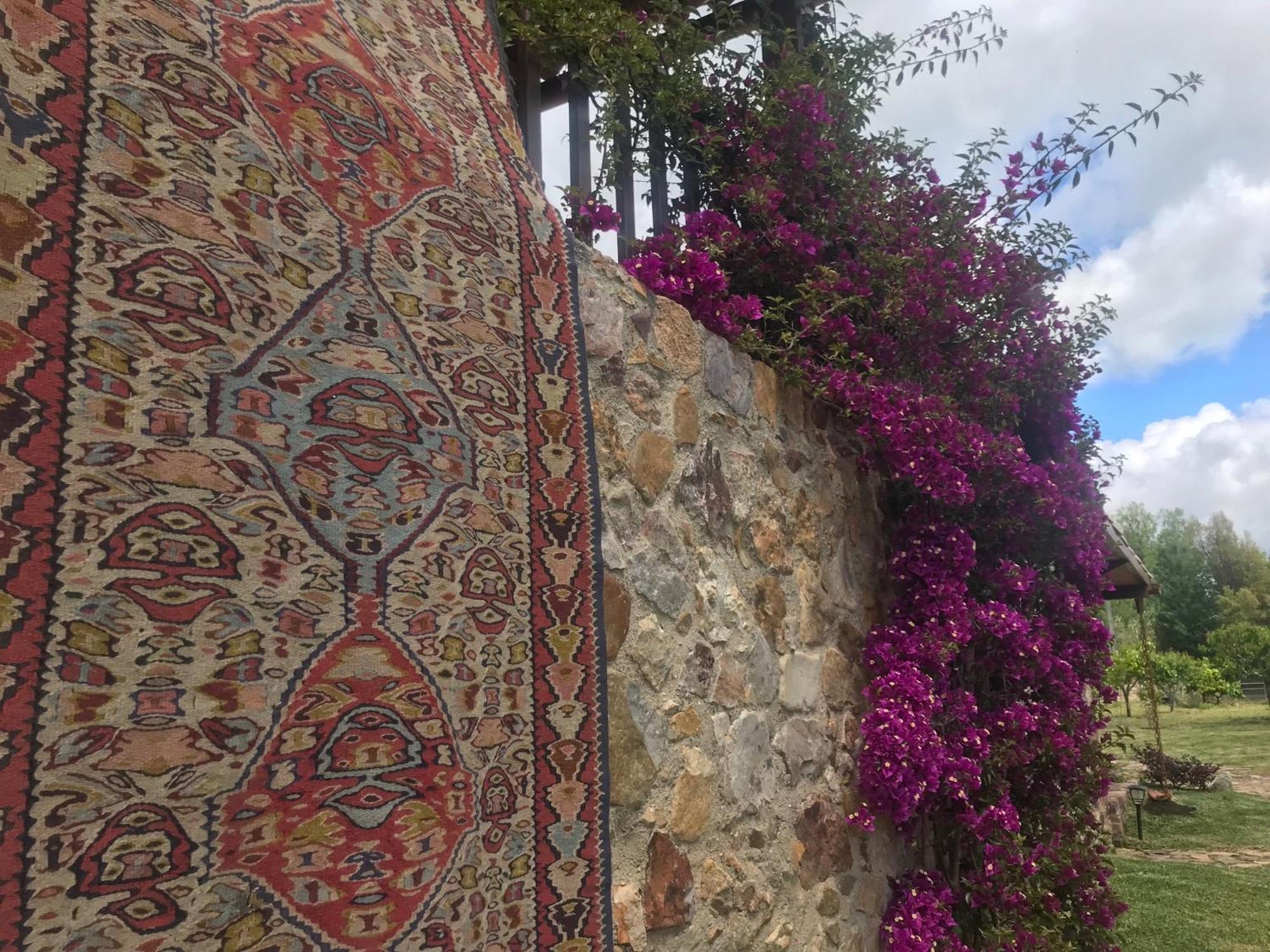 Homestay The Old Watermill Retreat - O Retiro Da Azenha Velha Vila Nova de Poiares